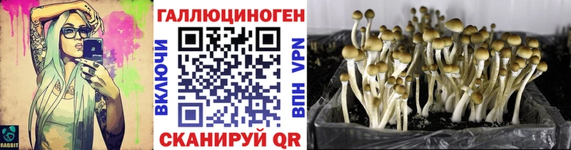 Псилоцибиновые грибы ЛСД  Сычёвка 